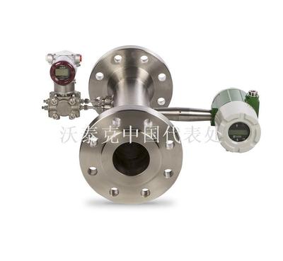 VorCone™两相流混相质量流量计