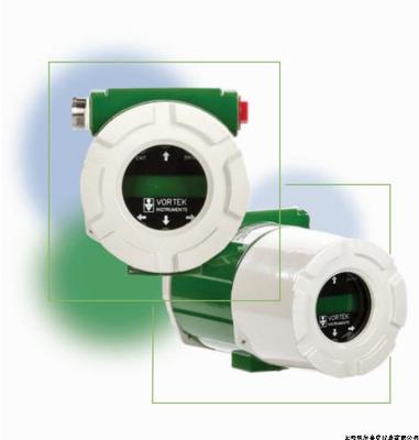 FC1900 流量计算机